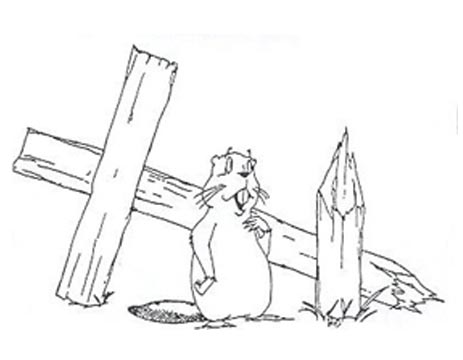 Artist Unknown. Untitled (Beaver and Toppled Cross). Editorial cartoon, Canadian daily newspaper, June 1999.